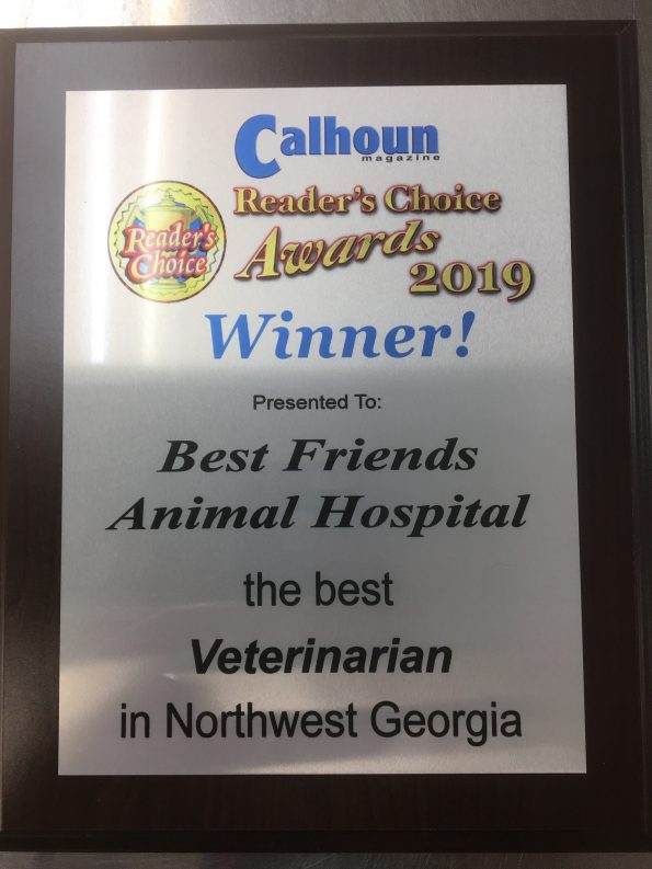 Best Veterinarian Of Calhoun 2019 | Veterinarians Calhoun, Georgia